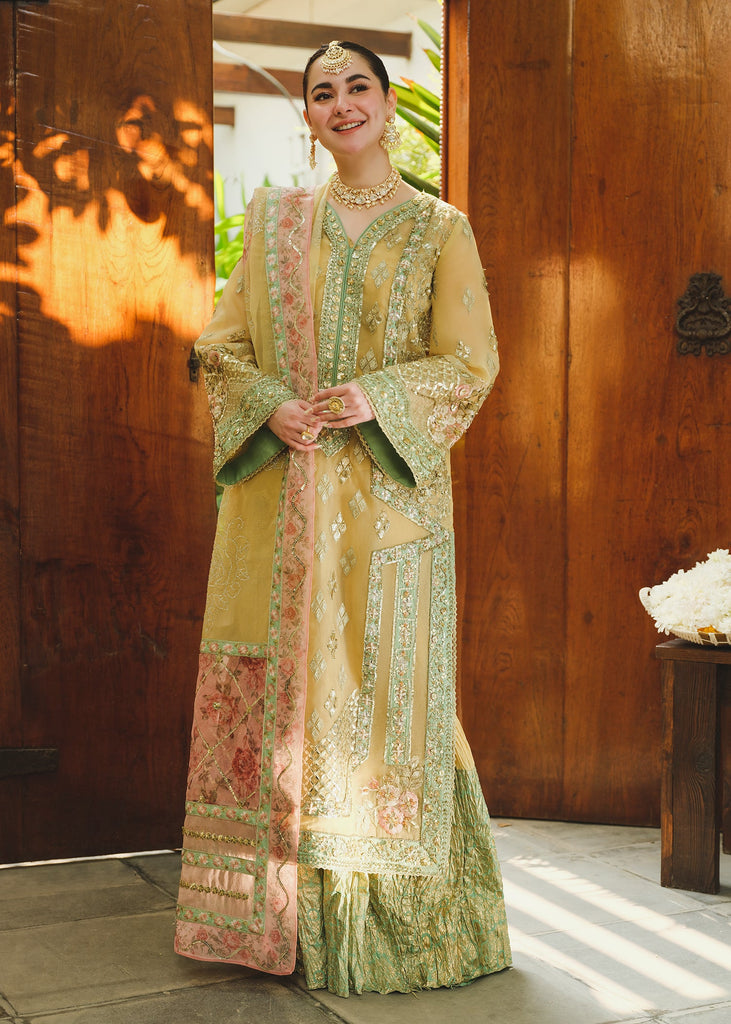 Saira Shakira- Wedding(1)