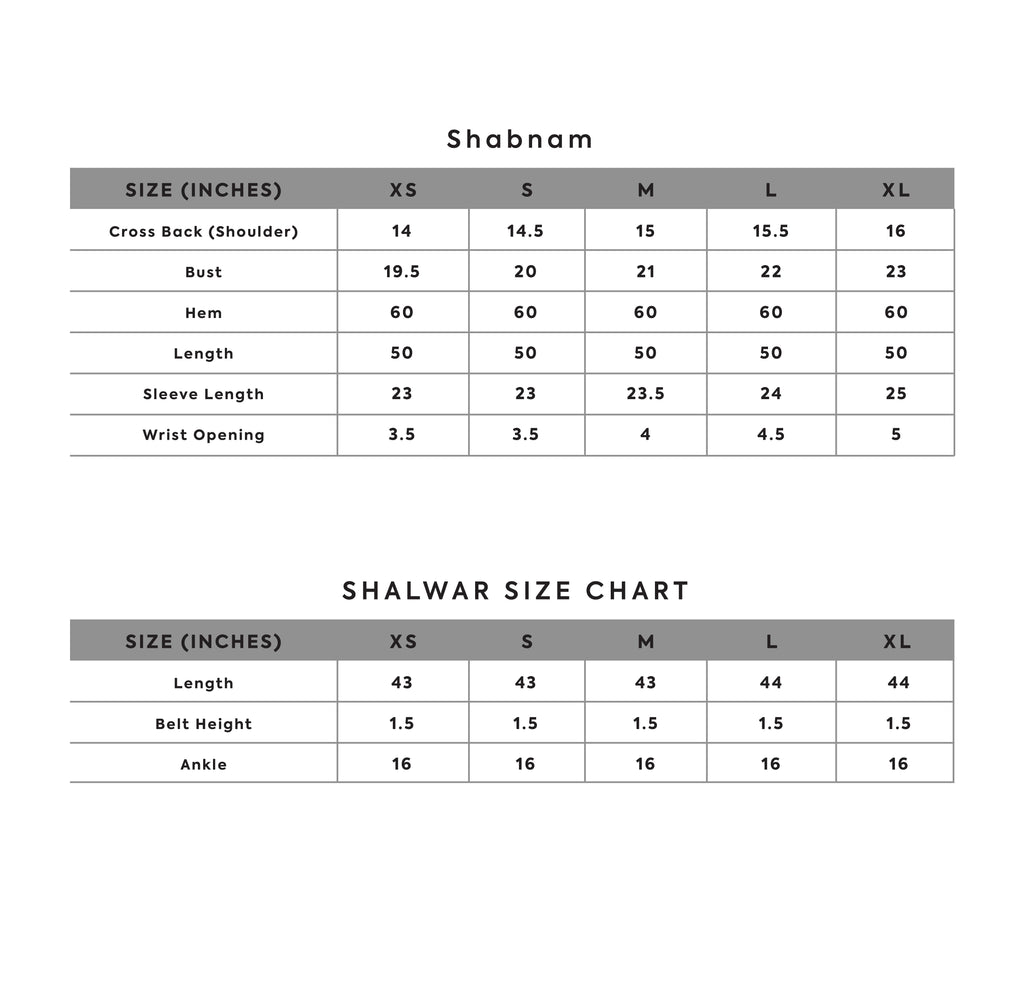 Zara Shahjahan - SHABNAM